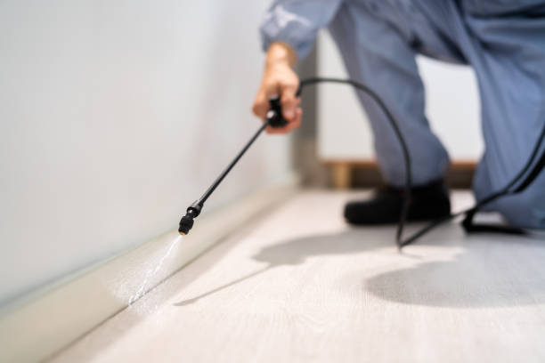 Bed Bug Pre-Treatment Preparation Assessment in Hauser