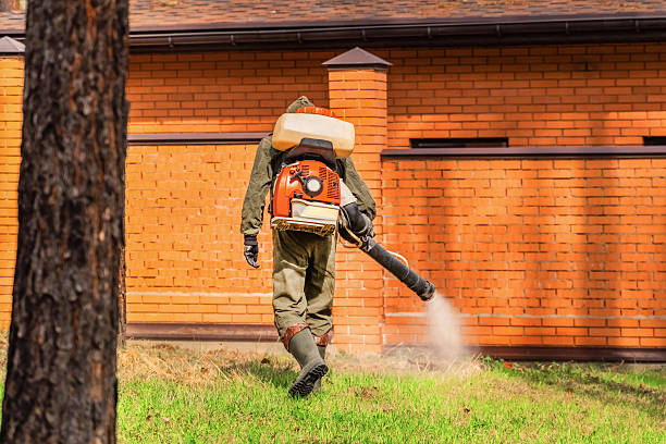 Bed Bug Clearance Verification and Documentation in Hauser